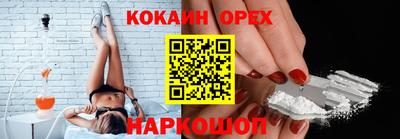 шишки Новокубанск