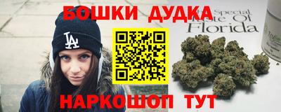 молекула духа Новодвинск
