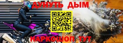 шишки Новокубанск