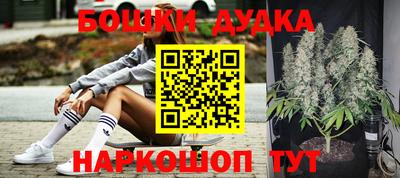 молекула духа Новодвинск