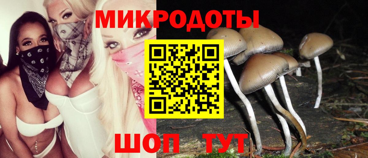 Псилоцибиновые грибы Psilocybe Сорочинск